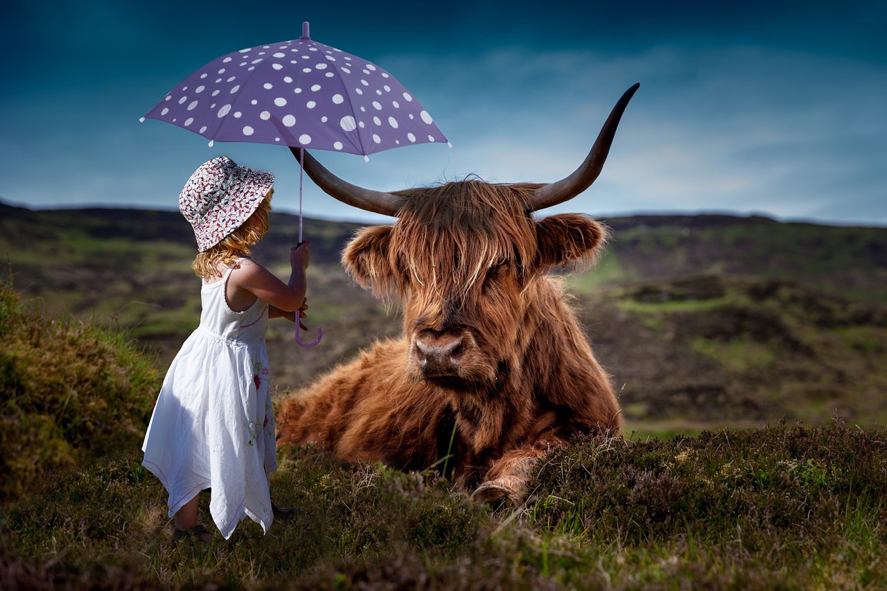 child, cow, umbrella, decoration, room, cow, cow, cow, cow, cow, umbrella, umbrella, umbrella